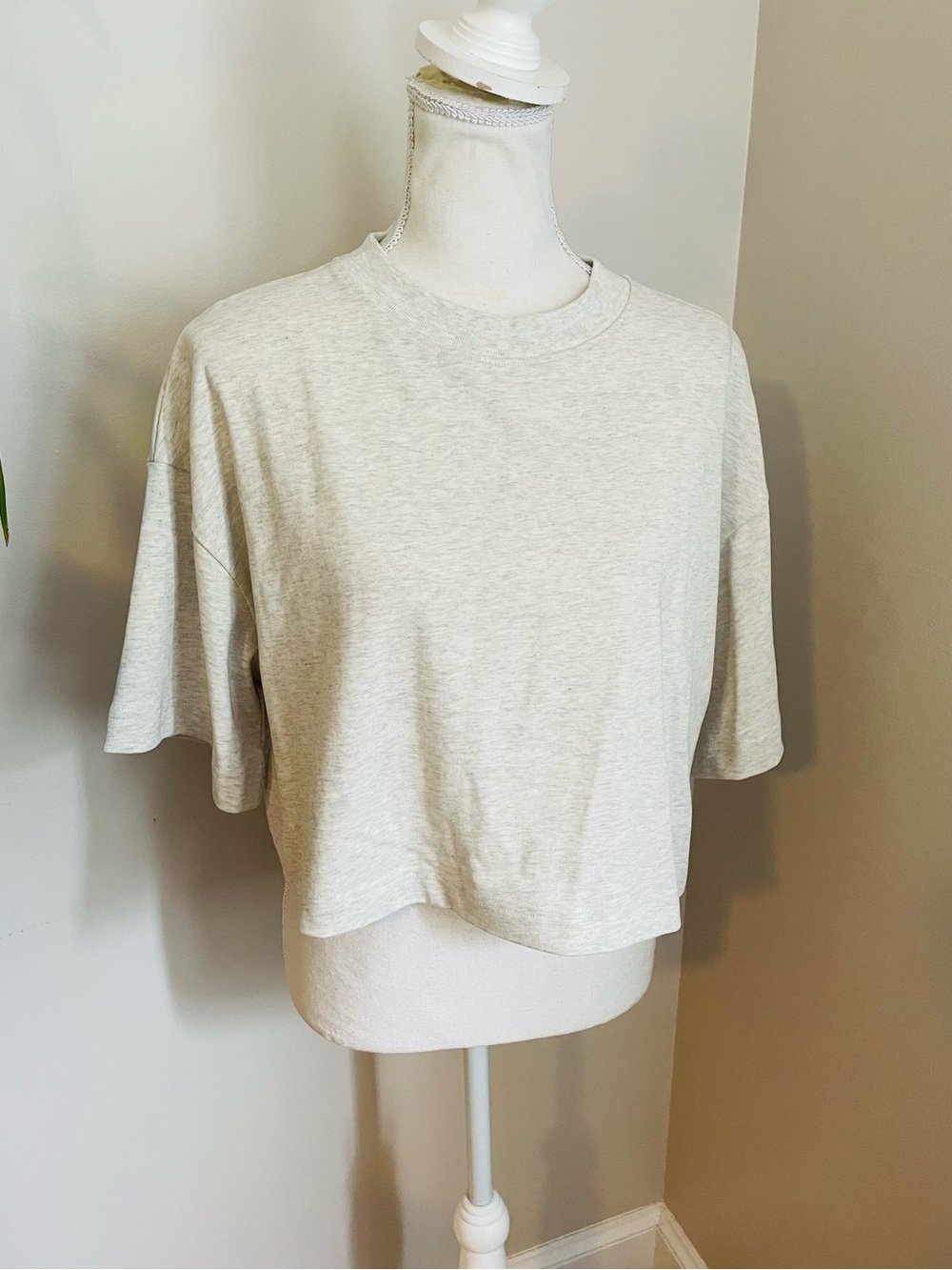 Gaze Cotton Essentials Cropped 100% Cotton Crewneck Sweatshirt